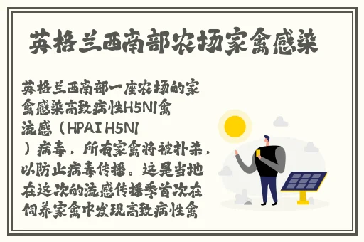 47194网站在线观看67194